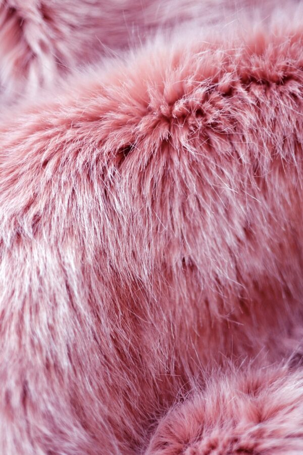 fur, background, beautiful wallpaper