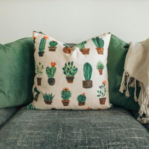 White and Green Throw Pillows